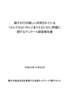 「とんでもないDV」「ありえないDV」問題に関するアンケート調査報告書