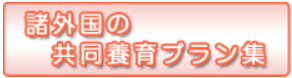 諸外国の共同養育プラン集